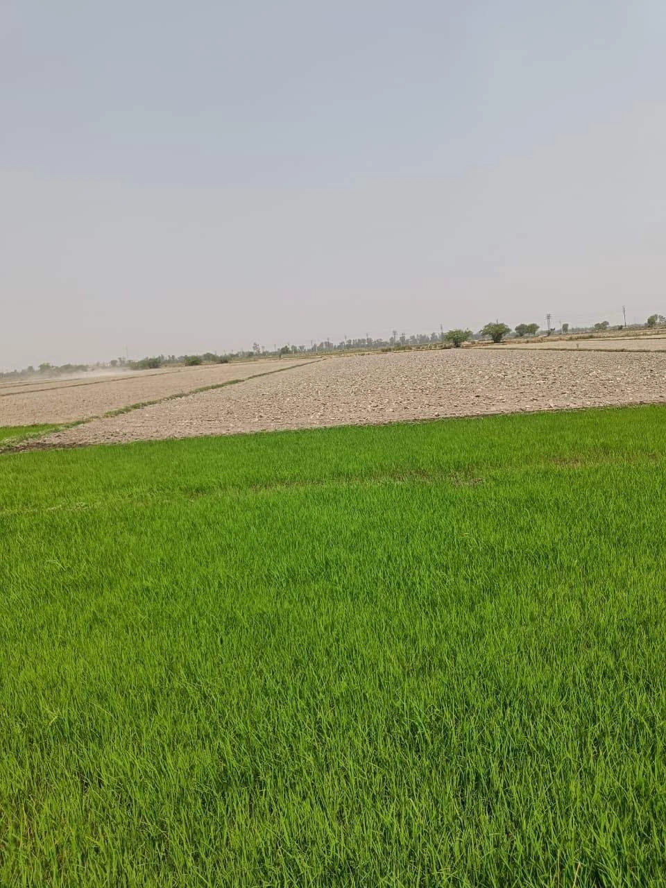 Sahar, Uttar Pradesh, India