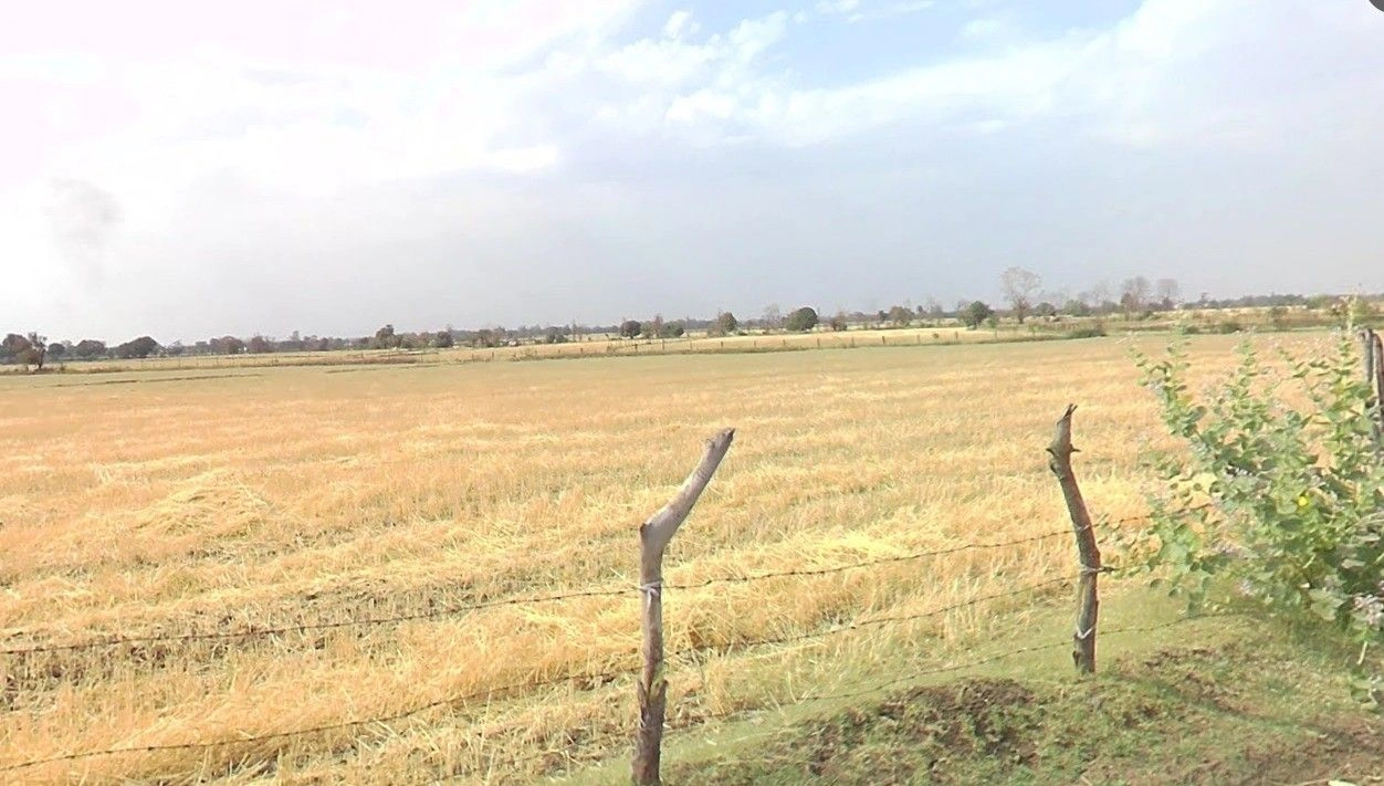 Gyaraspur, Madhya Pradesh 464331, India preview 2