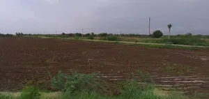 Ujjain, Madhya Pradesh, India preview 2