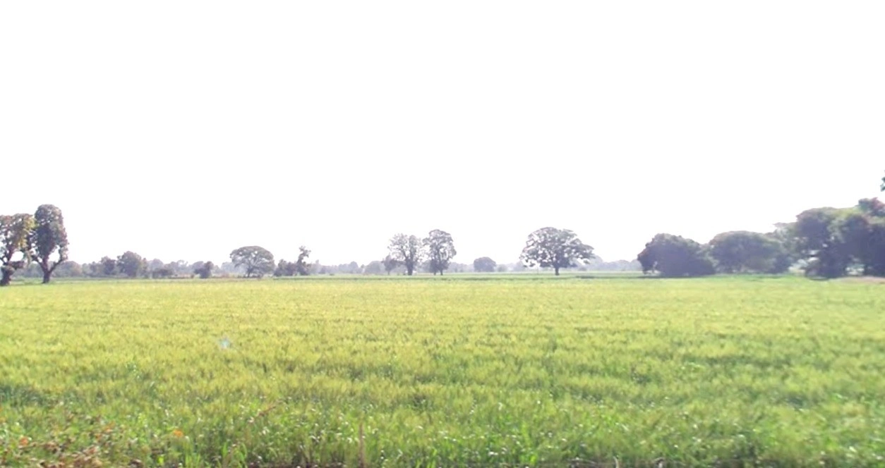 Hatpipliya, Madhya Pradesh 455223, India