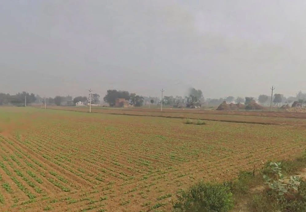 Jairoli, Rajasthan, India
