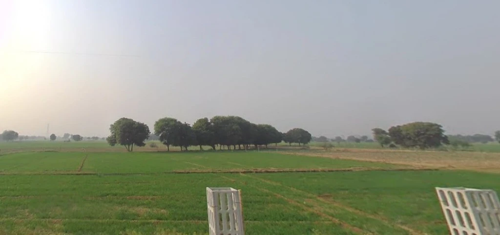 Baroli Ahir, Agra, Uttar Pradesh 282004, India