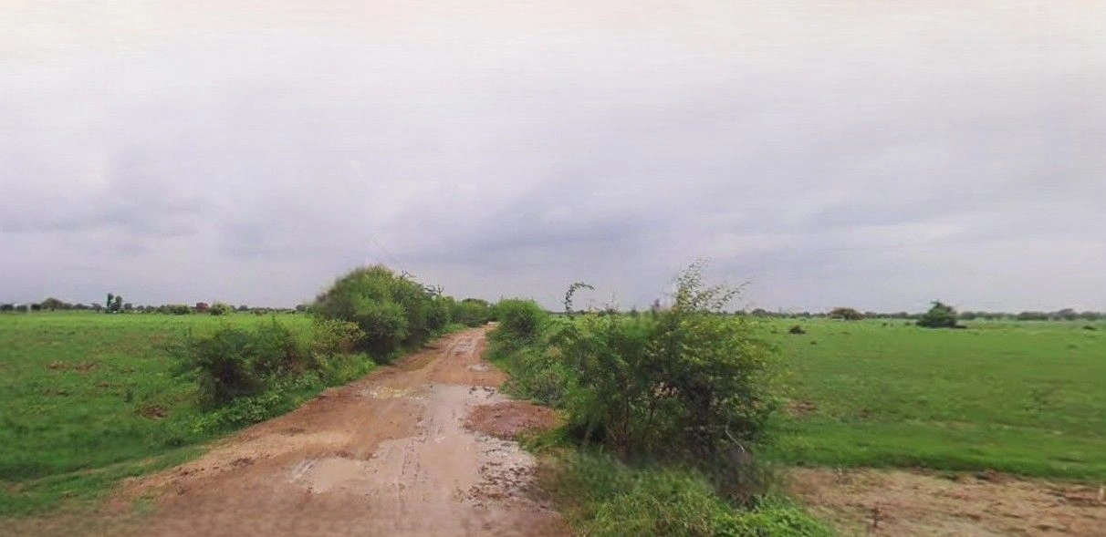 Bazpur, Uttarakhand 262401, India