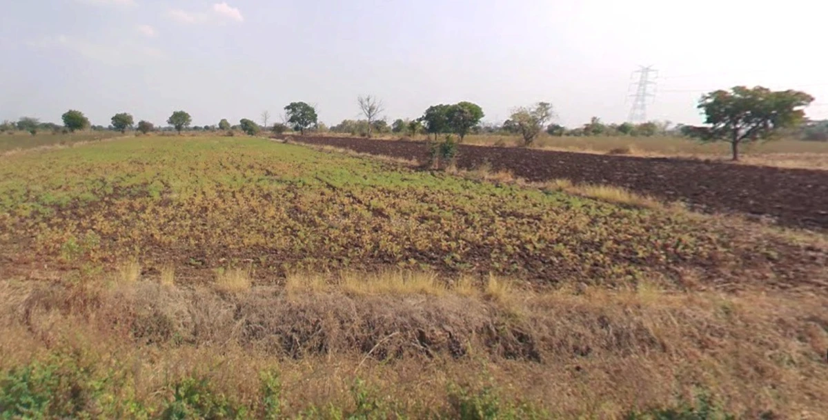 W83Q+8QV, Nagchoon, Madhya Pradesh, India