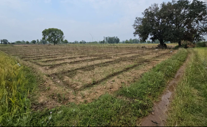 2RWM+F47, Ranga Reddy, Sologutta Tanda, Telangana 508245, India