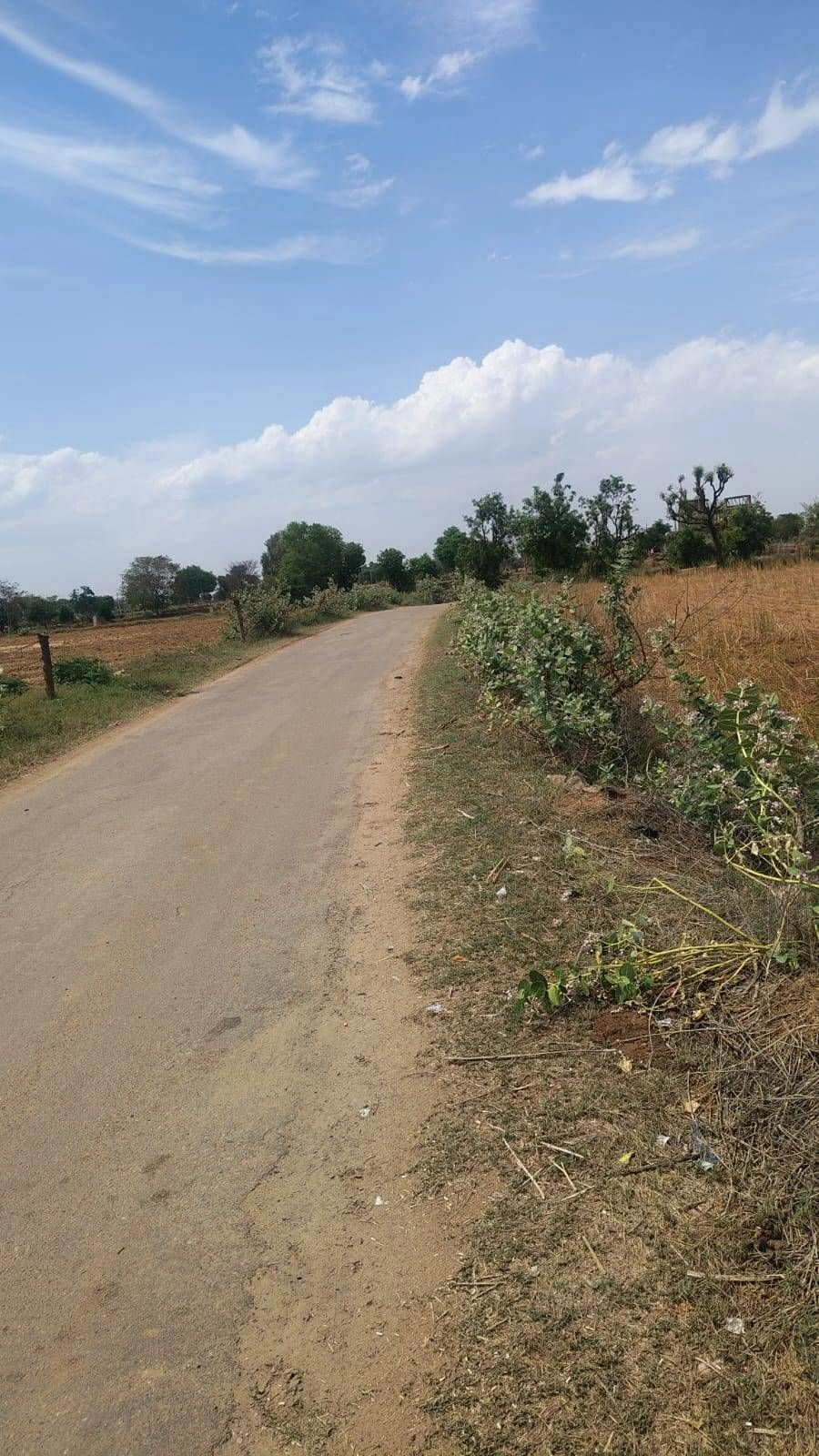 Pinan, Rajasthan, India