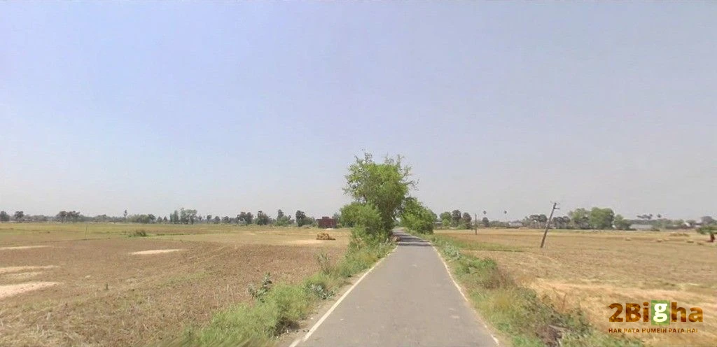 Bikram - Bihta Rd, Dayalpur Daulatpur, Bihar, India