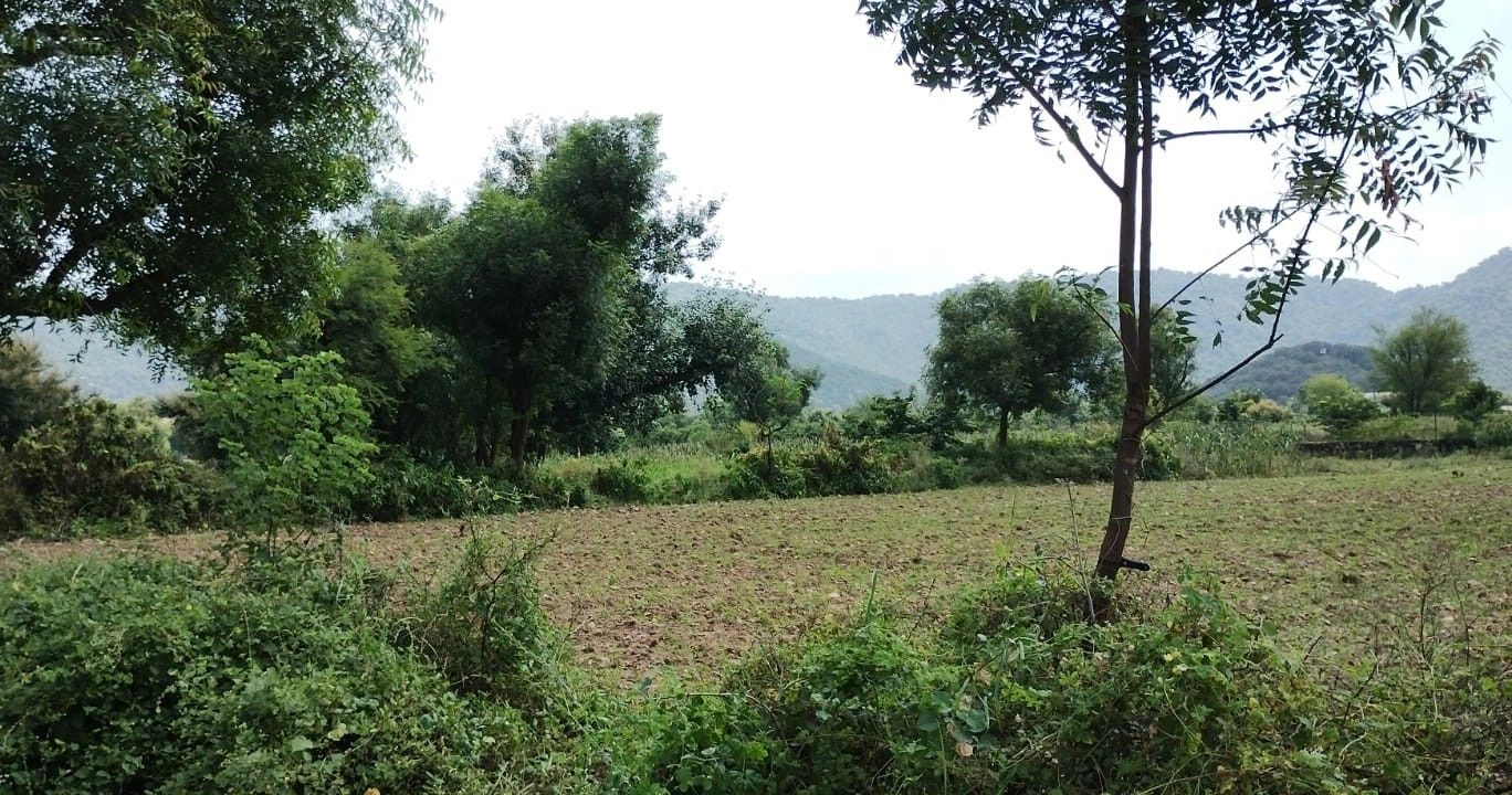 Beebanwa, Rajasthan 323001, India