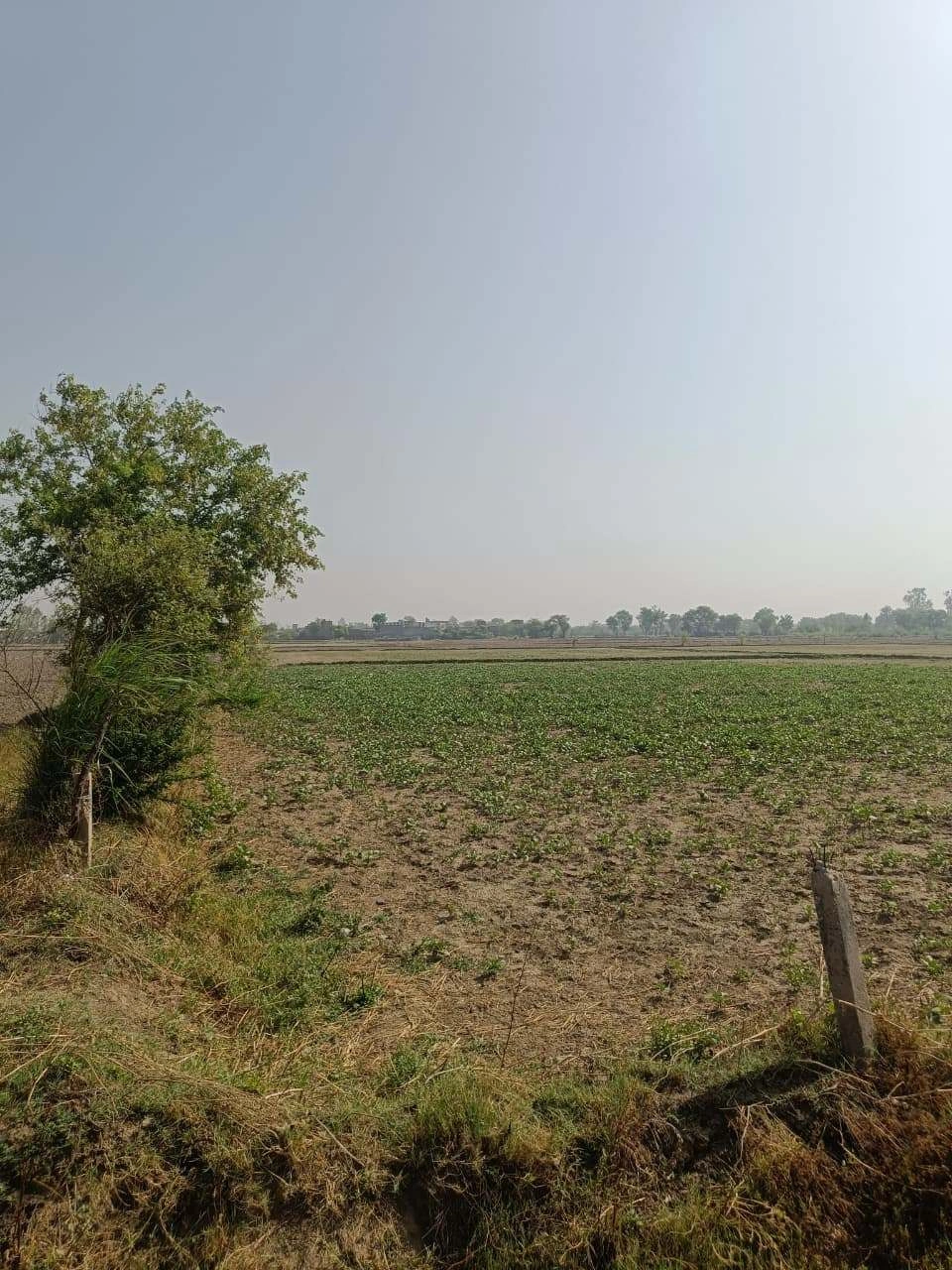 Ajhai Kalan, Uttar Pradesh 281406, India
