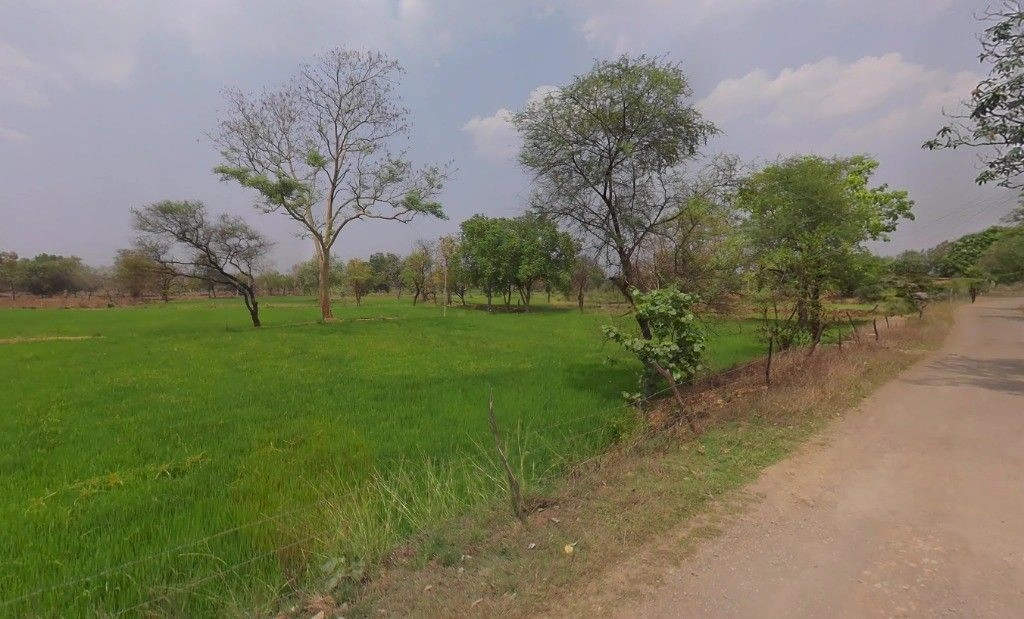 Railway Colony, Dongargarh, Chhattisgarh 491445, India preview 3