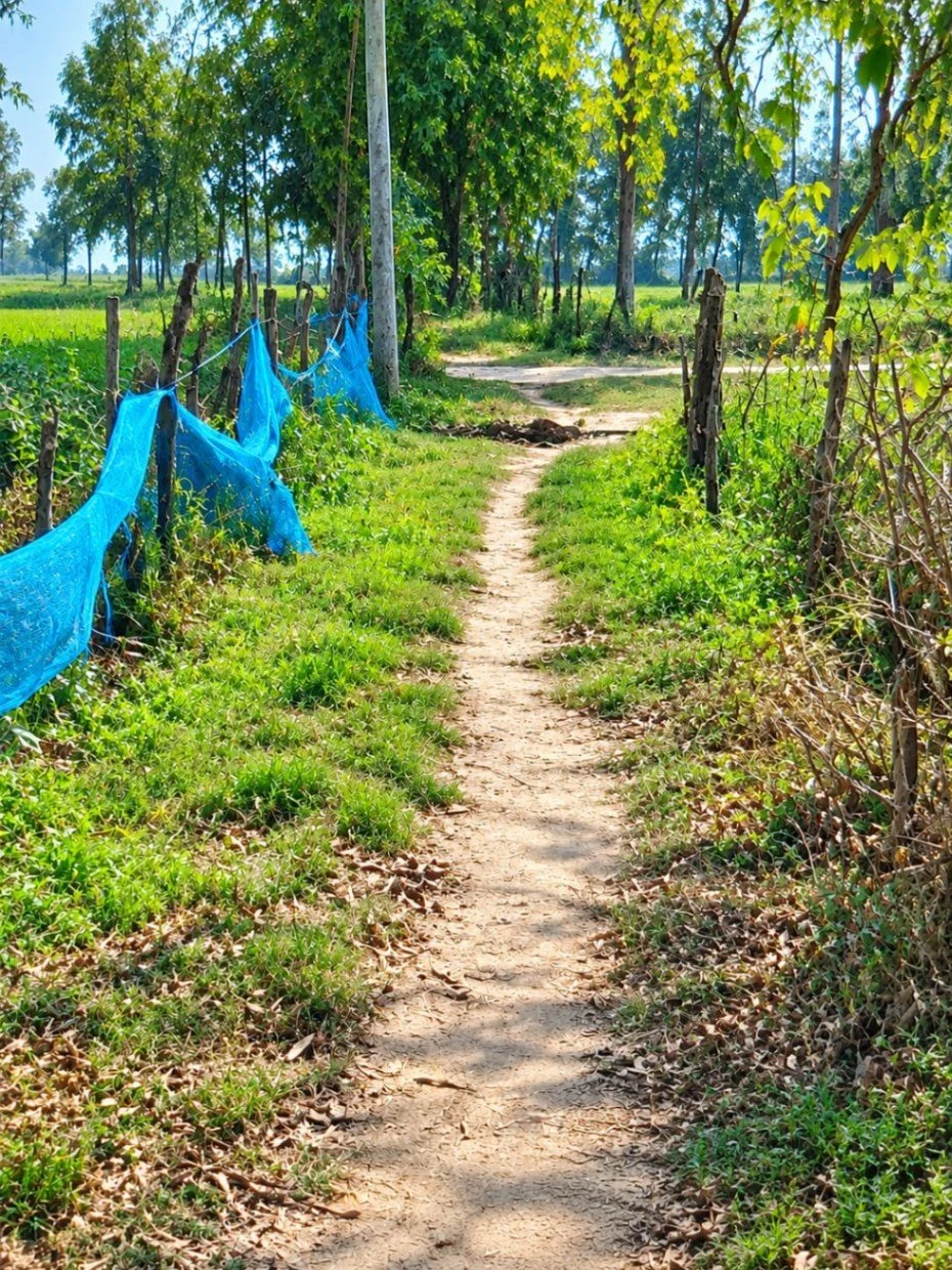 Chhatauni, Sheohar, Bihar 843329, India