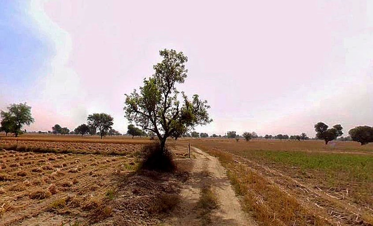 Chandla, Madhya Pradesh 471525, India