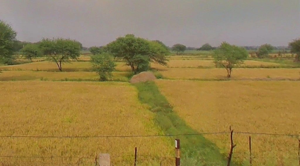 Kotni, Chhattisgarh 493441, India