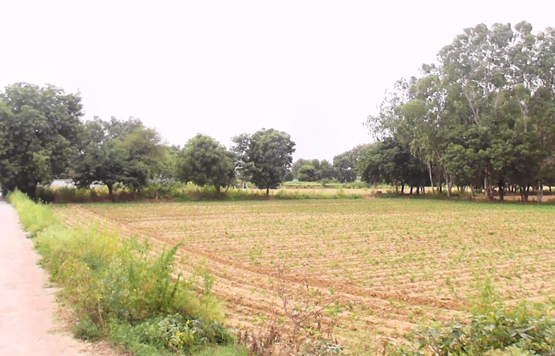 734Q+G5C, Sector 5, Sohna, Sohna Rural, Haryana 122103, India
