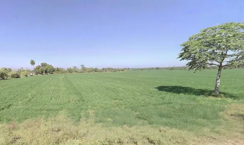 Maksi, Madhya Pradesh, India preview 3