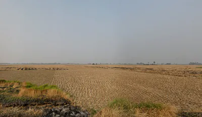 Plot No.- IIA/27, AA II, Newtown, Kolkata, Kadampukur, West Bengal 700160, India preview 2