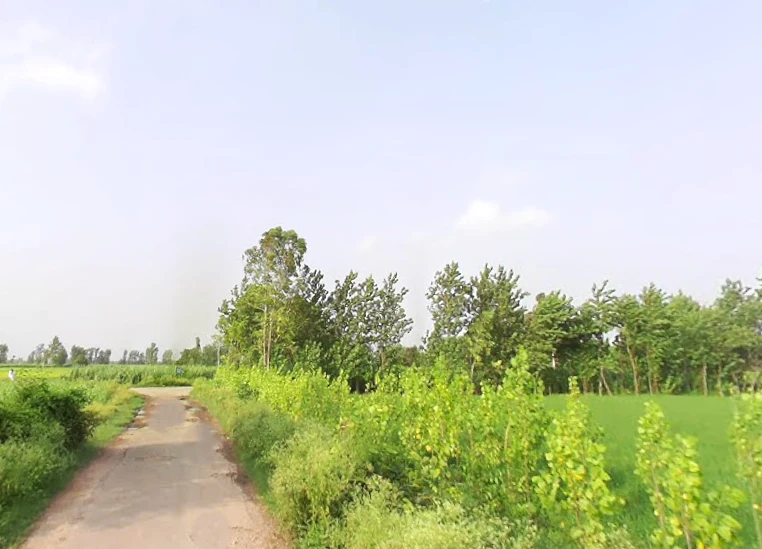 Sarsawa, Uttar Pradesh 247232, India