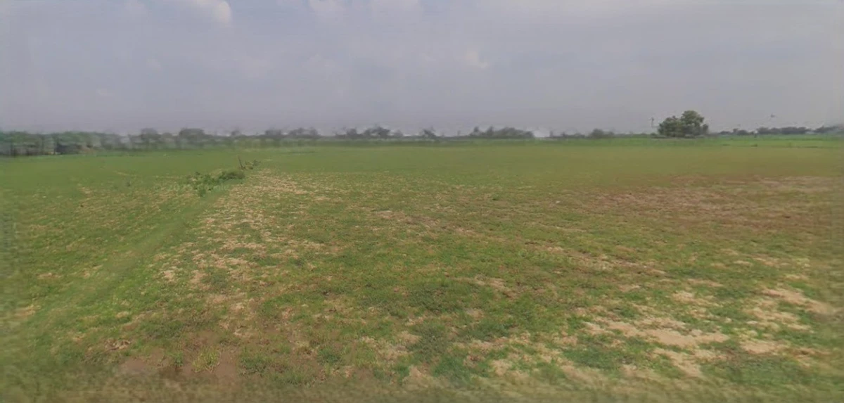 Mandsaur, Madhya Pradesh, India