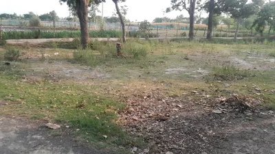 P537+3R Dharamdaspur, Uttar Pradesh, India preview 2