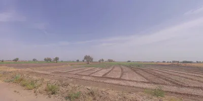 Gedi, Gujarat 370165, India preview 3