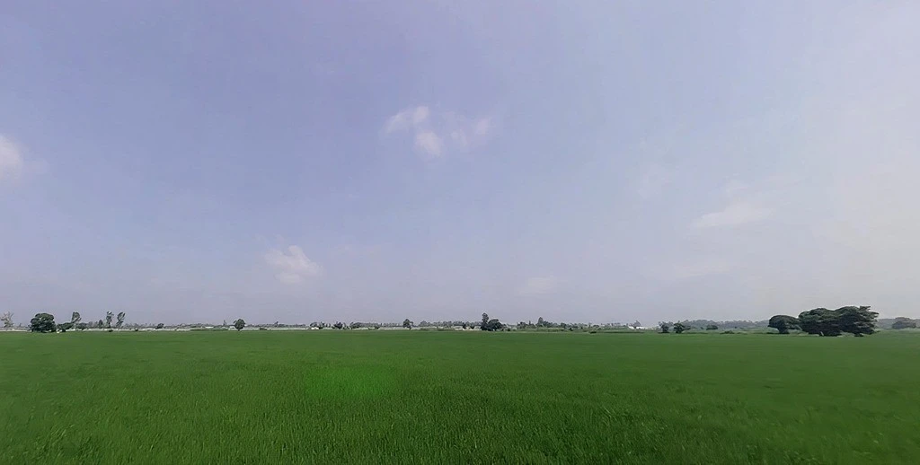 Pabla, Haryana 136020, India