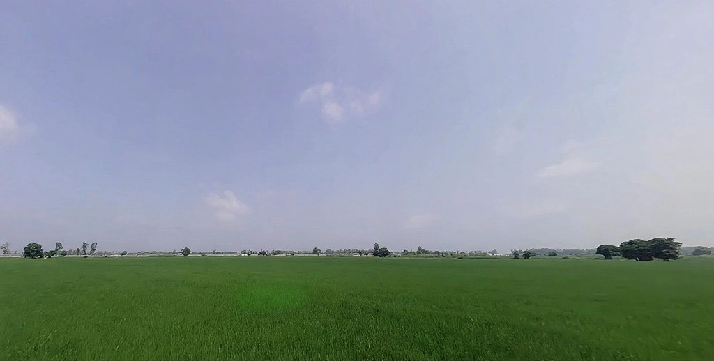 Pabla, Haryana 136020, India