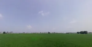 Pabla, Haryana 136020, India preview 3