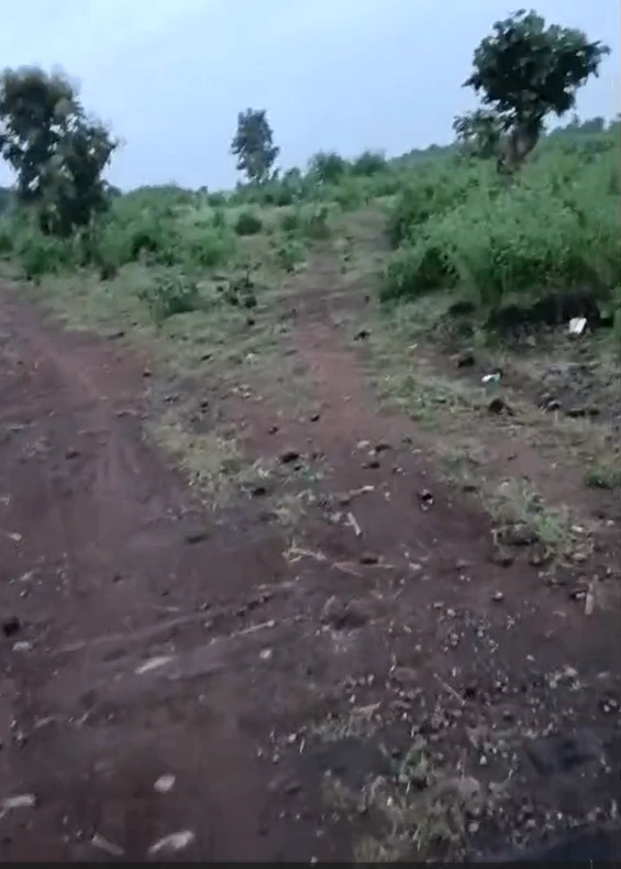 4JGF+82P, Khargone, Kasrawad Rd, Kasrawad, Madhya Pradesh 451228, India