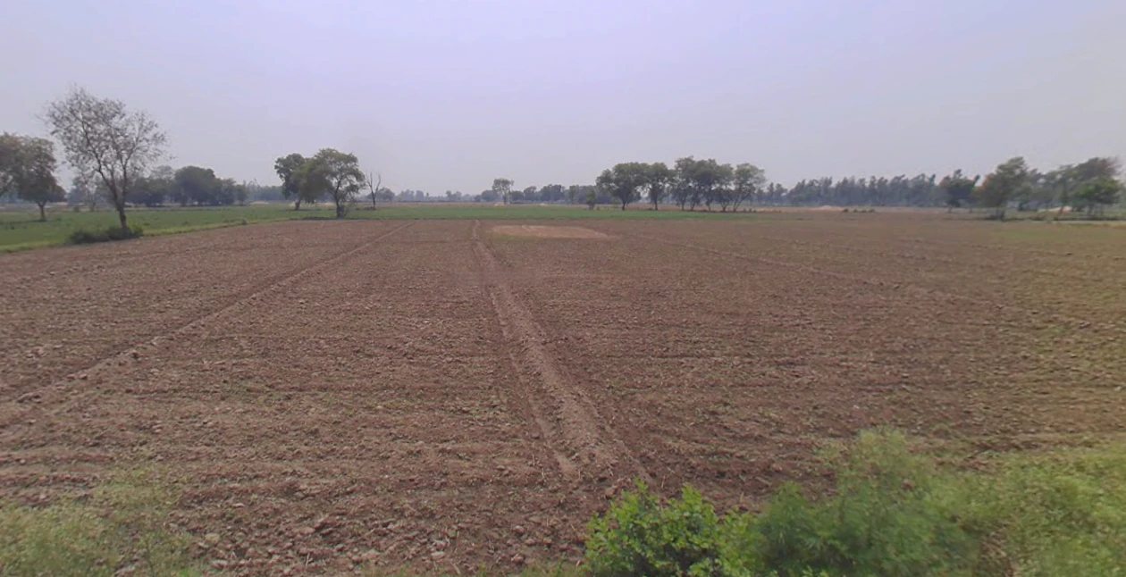 Mawana, Uttar Pradesh, India