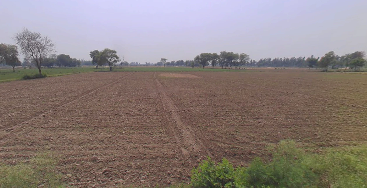 Mawana, Uttar Pradesh, India