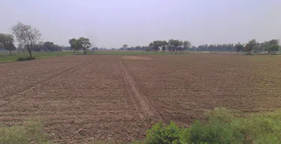 Mawana, Uttar Pradesh, India preview 3