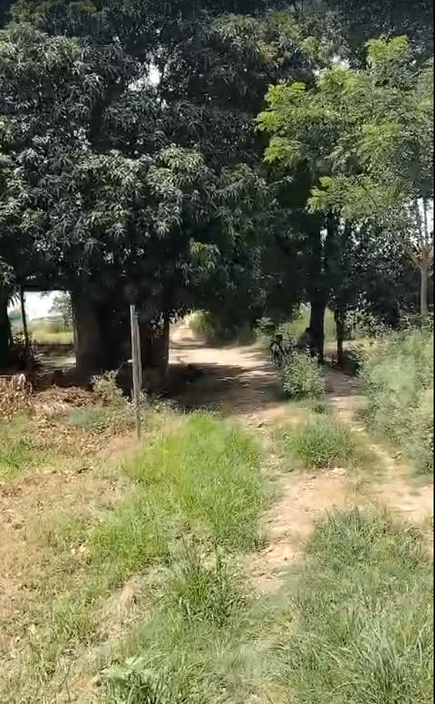 Madhapur Mozampur, Uttar Pradesh 245207, India