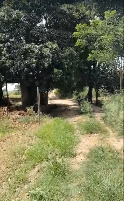 Madhapur Mozampur, Uttar Pradesh 245207, India preview 2