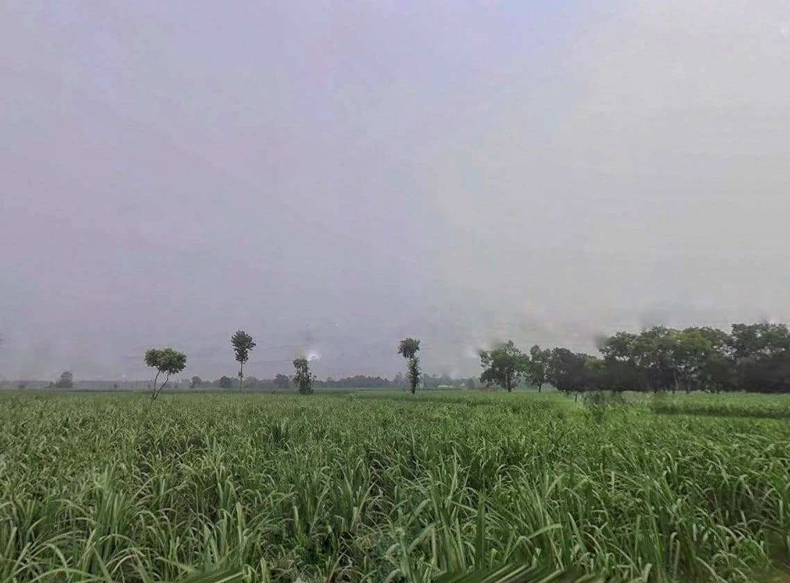 Sidki, Uttar Pradesh 247551, India