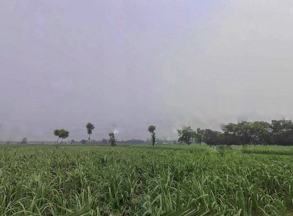 Sidki, Uttar Pradesh 247551, India