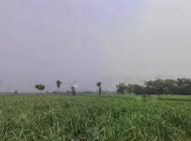 Sidki, Uttar Pradesh 247551, India preview 2
