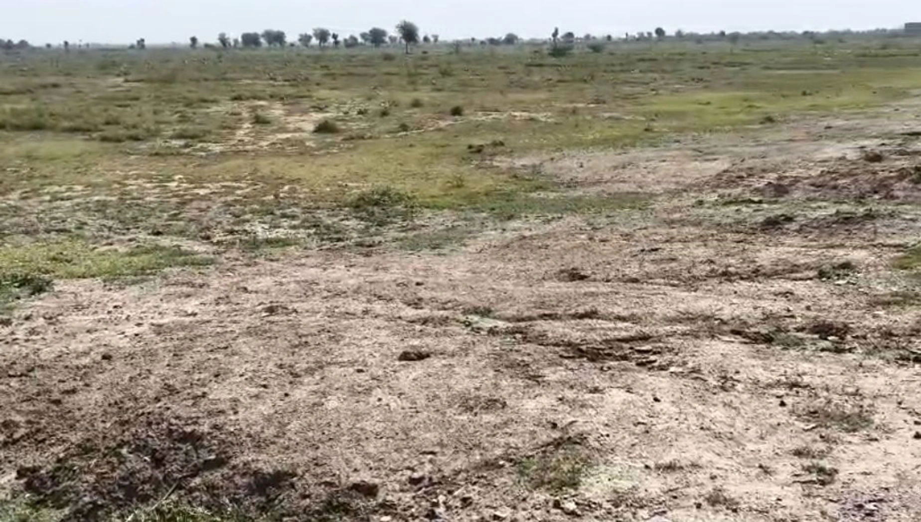 7Q38+6QH, NE 4, Pinan, Rajasthan 301413, India