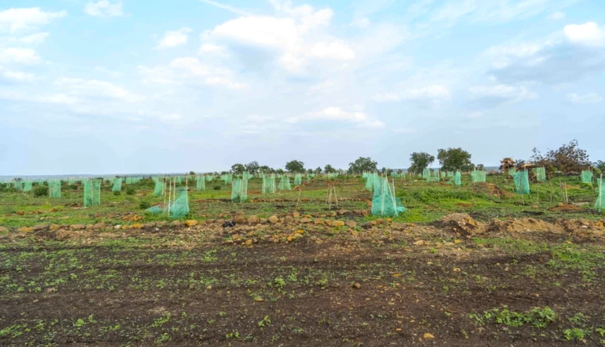 Wasar, Sangareddy, Telangana 502286, India