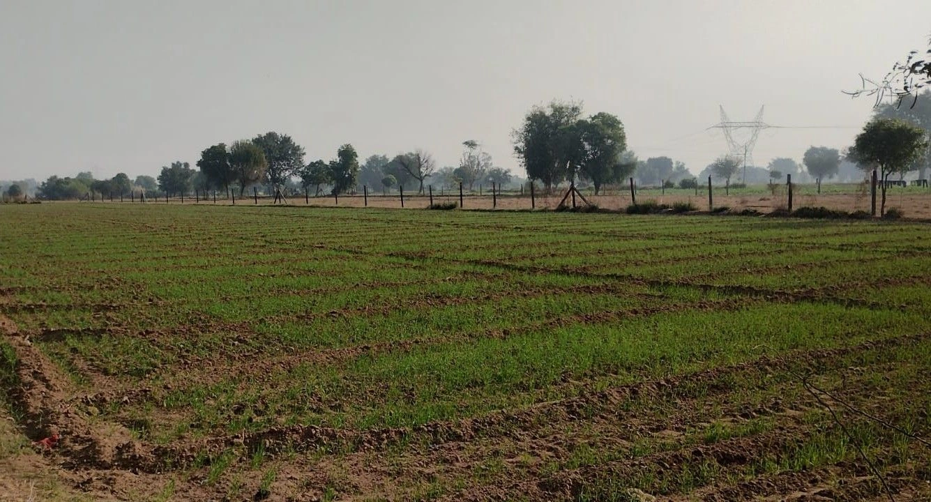 JJMV+PM7, Jahar Khera, Rajasthan 301028, India
