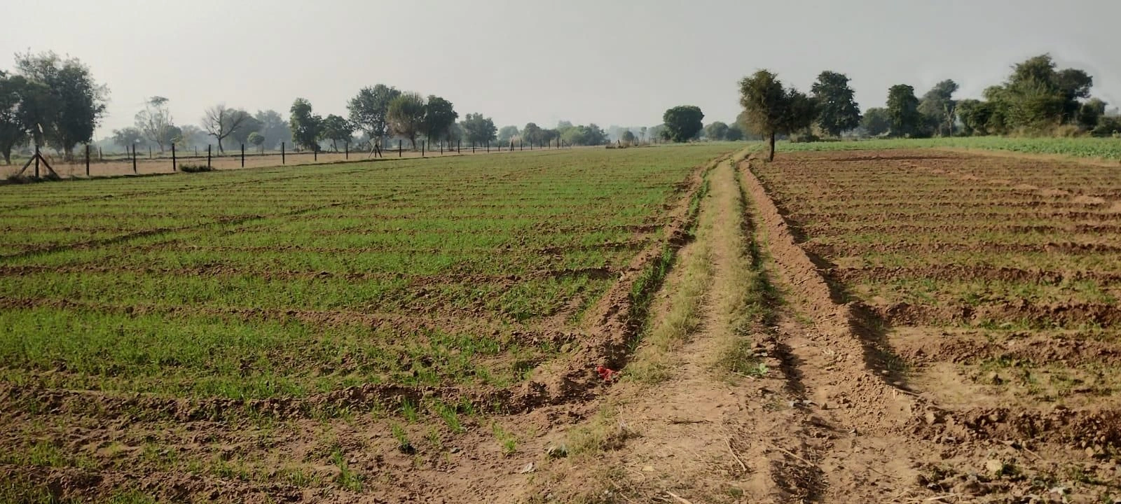 Khatoo, Rajasthan 332602, India