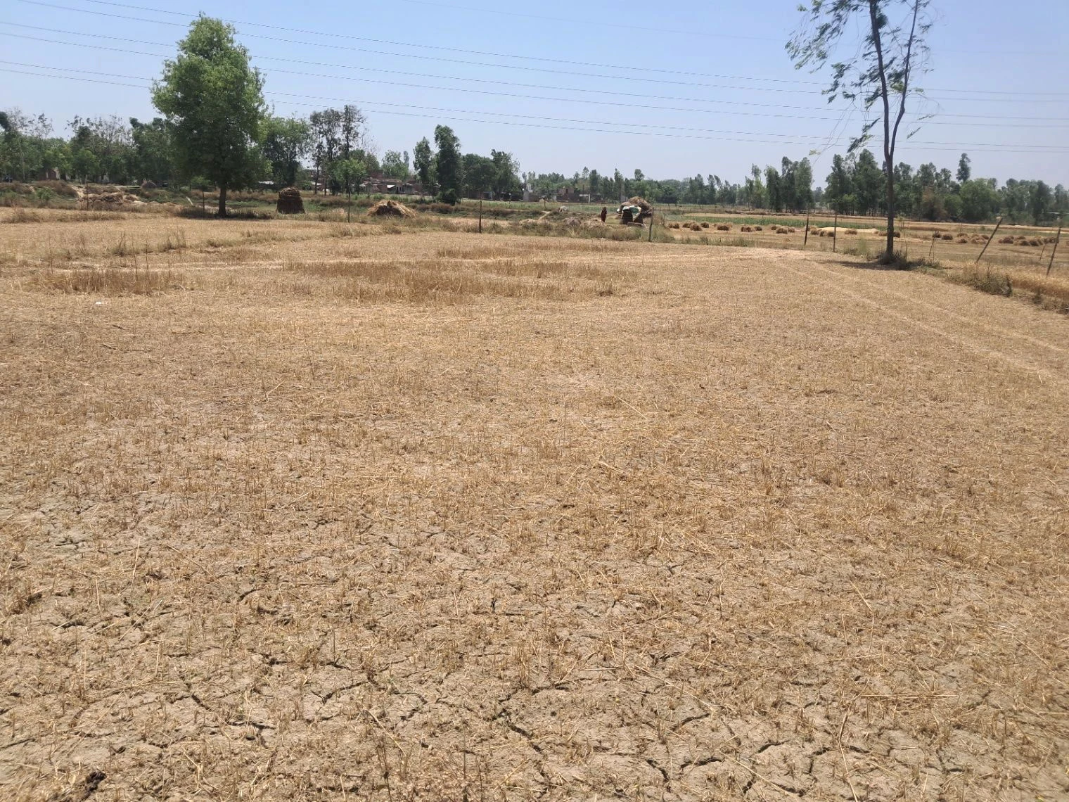 PX3W+XX Majnawa, Uttar Pradesh, India