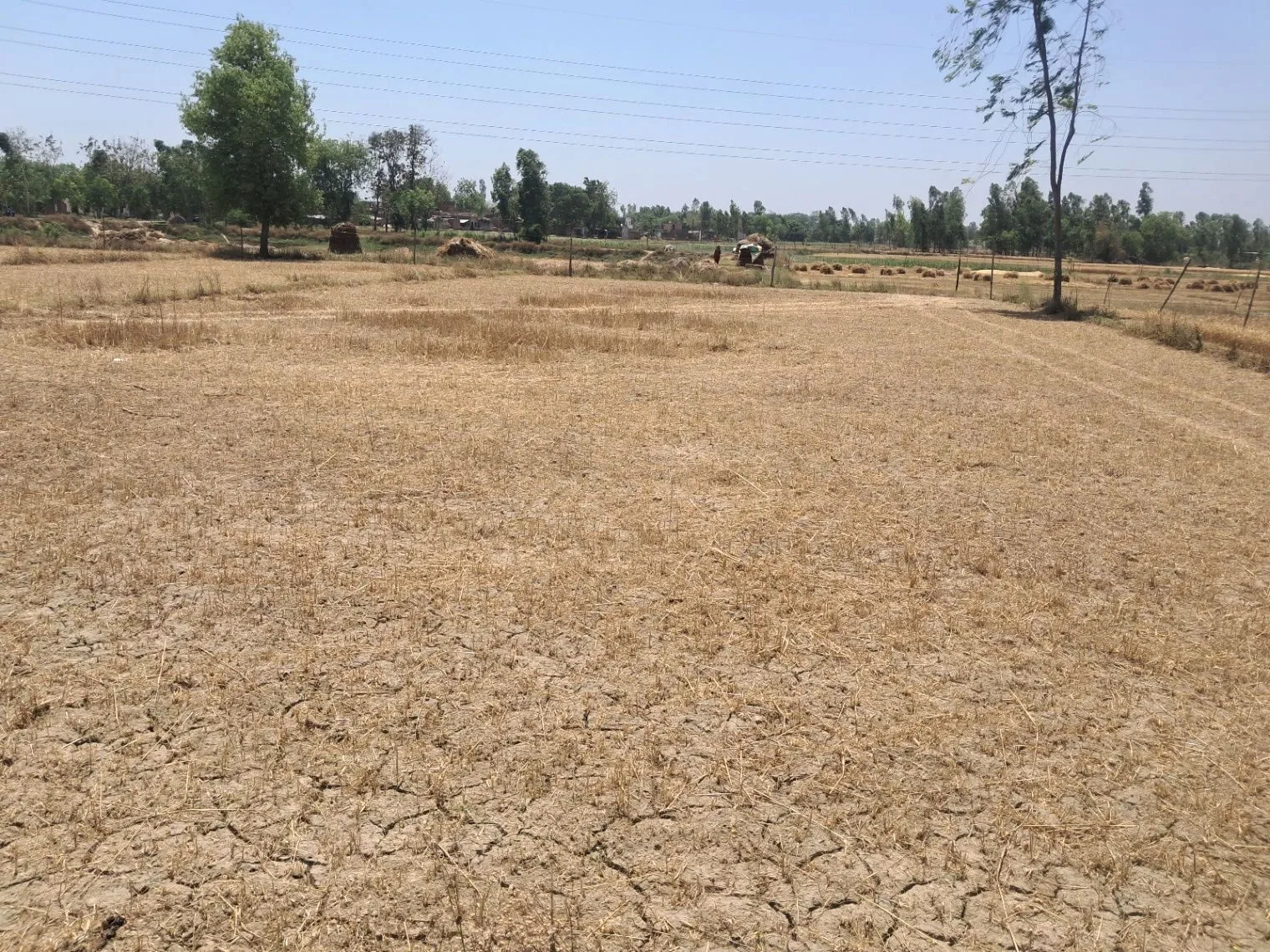 PX3W+XX Majnawa, Uttar Pradesh, India