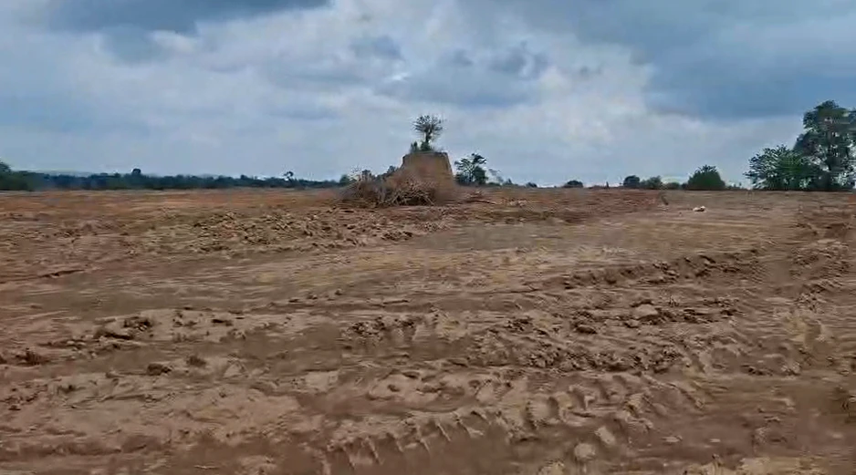 Tama Seoni, Chhattisgarh 493661, India