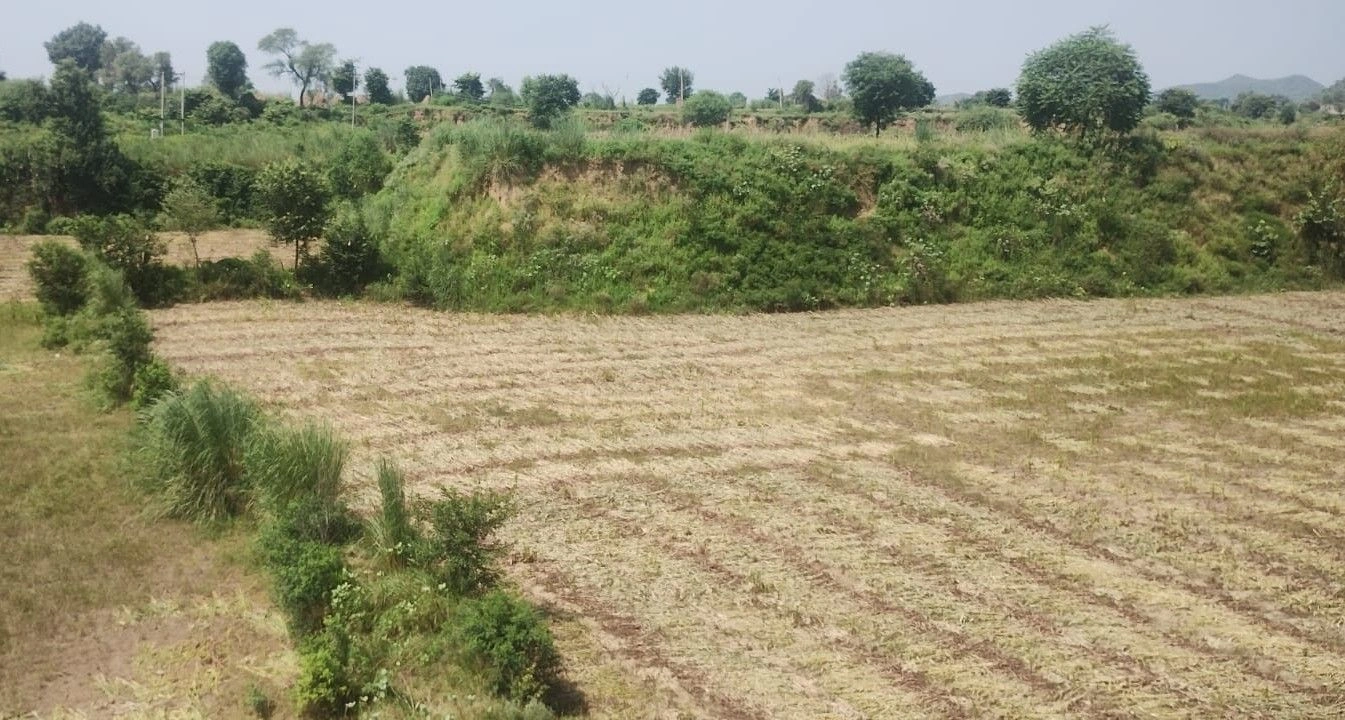 Tijara, Rajasthan 301411, India