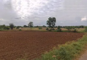 Pinan, Rajasthan, India preview 2