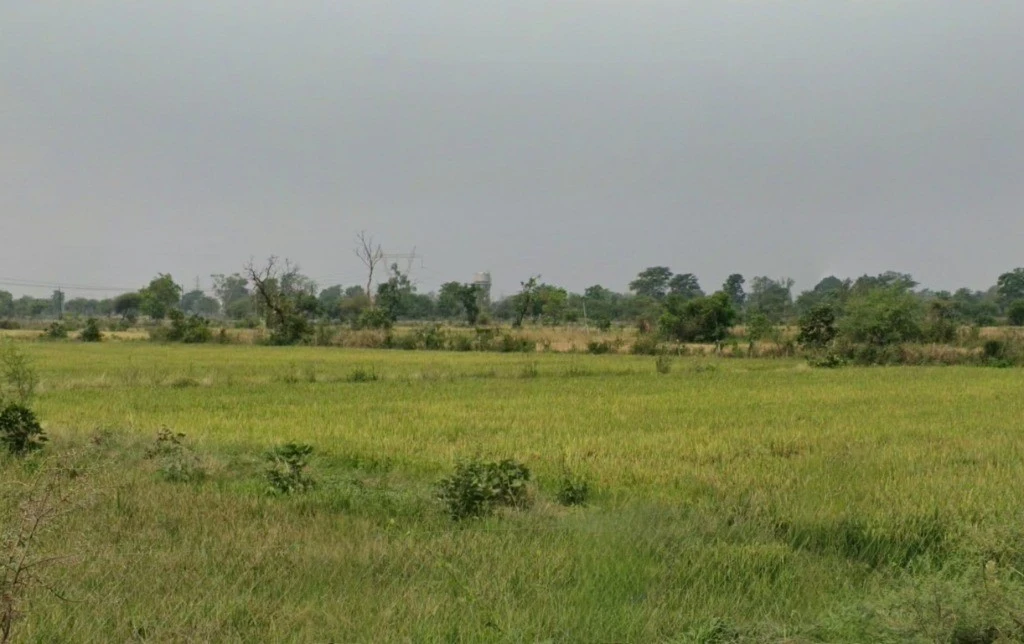 Birkona, Chhattisgarh, India