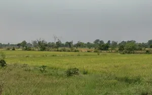 Birkona, Chhattisgarh, India preview 3