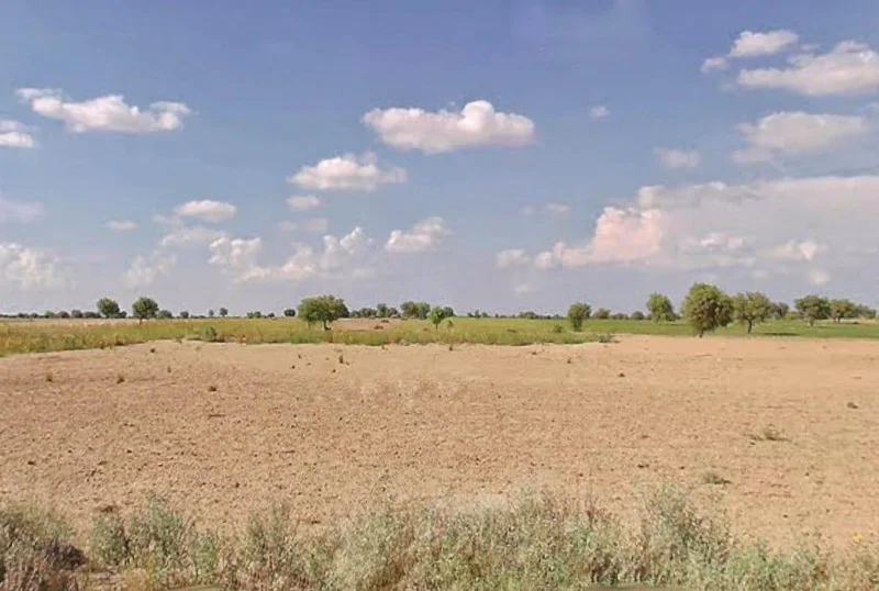 Gajsinghpur, Rajasthan 335024, India preview 3