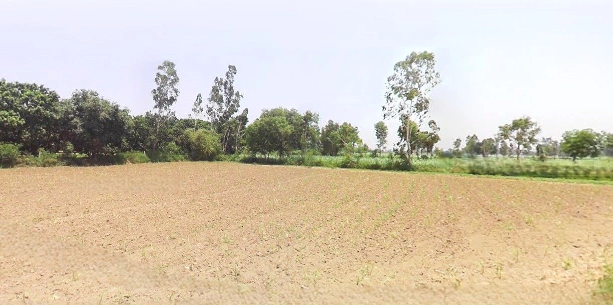 Jansath, Uttar Pradesh 251314, India