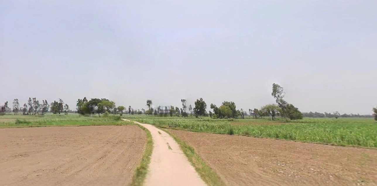 Jansath, Uttar Pradesh 251314, India